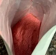 Zalú rinde muchas porciones